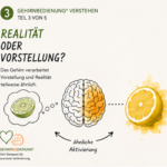 Sandra-Neumaier_Gehirnbedienung3