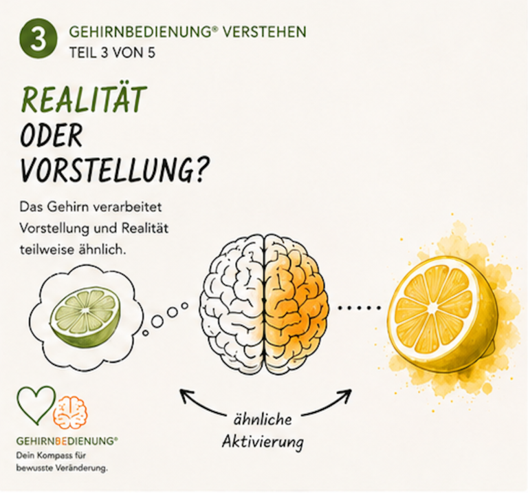 + Warum dein Gehirn nicht zwischen Realität und Vorstellung unterscheidet